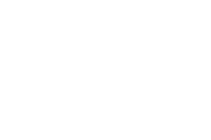 Mitchell's Local Plumbing logo